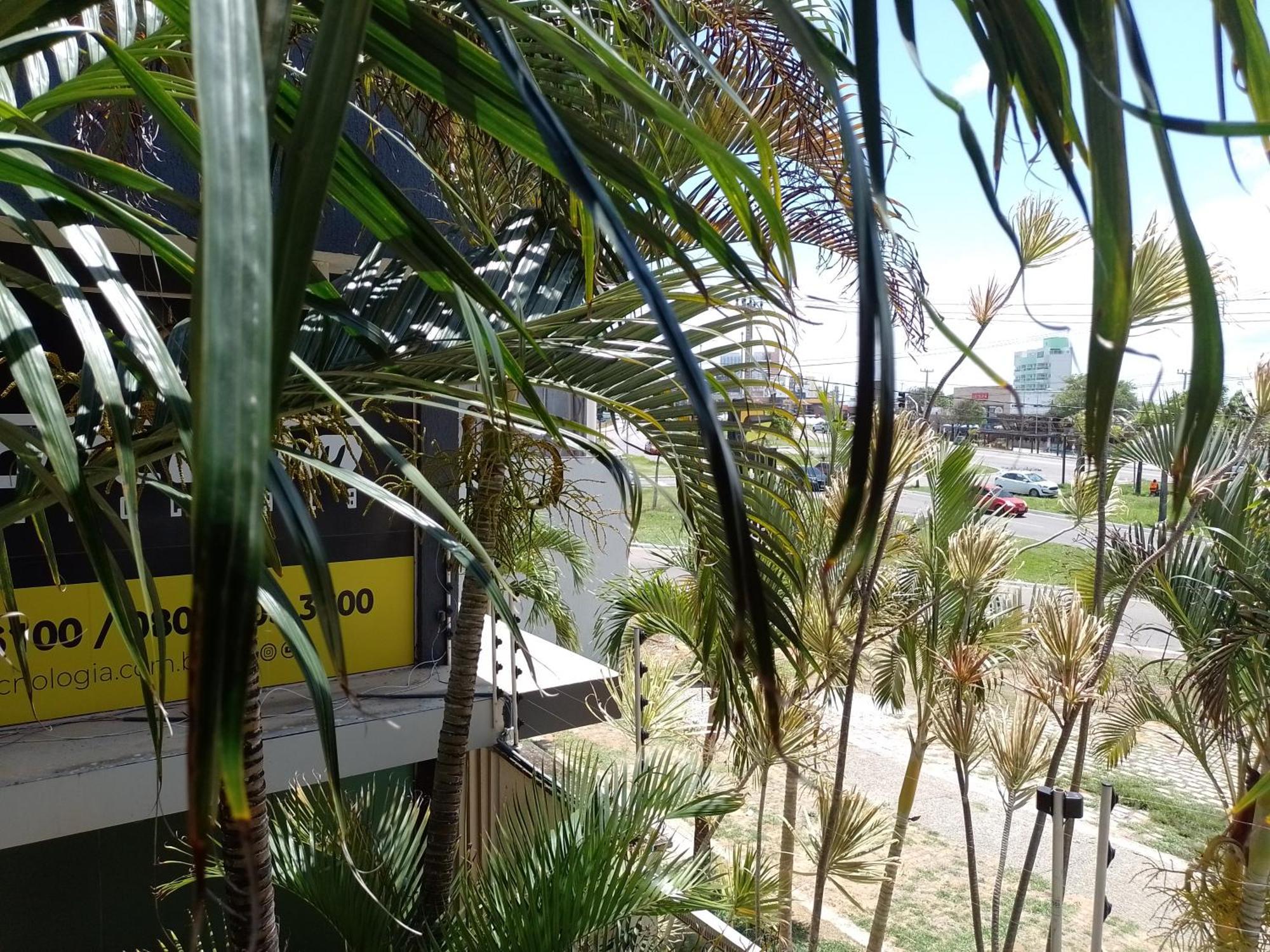 Macarena Flat-ponta Negra Apartment Natal